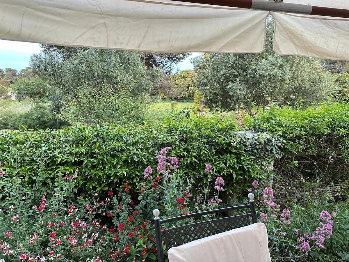 Magnifique - Villefranche Villa *