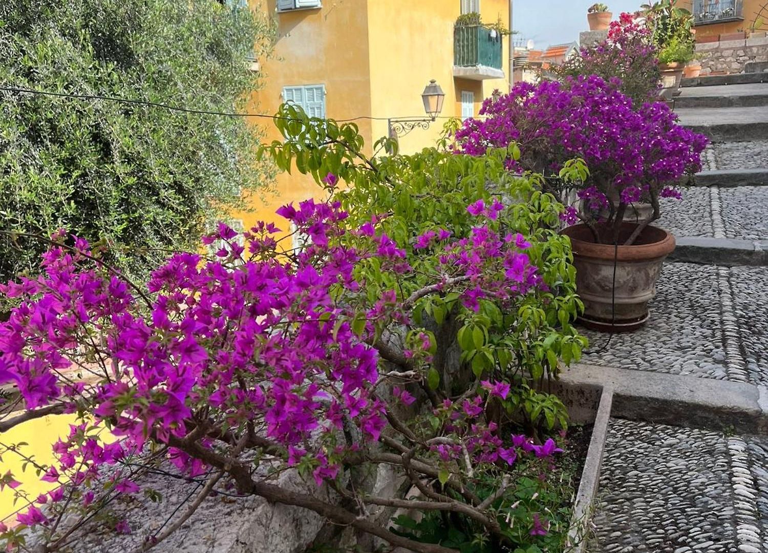 Apartment Unique Dans Le Vieux-nice! Avec Jardin Et Terrasse