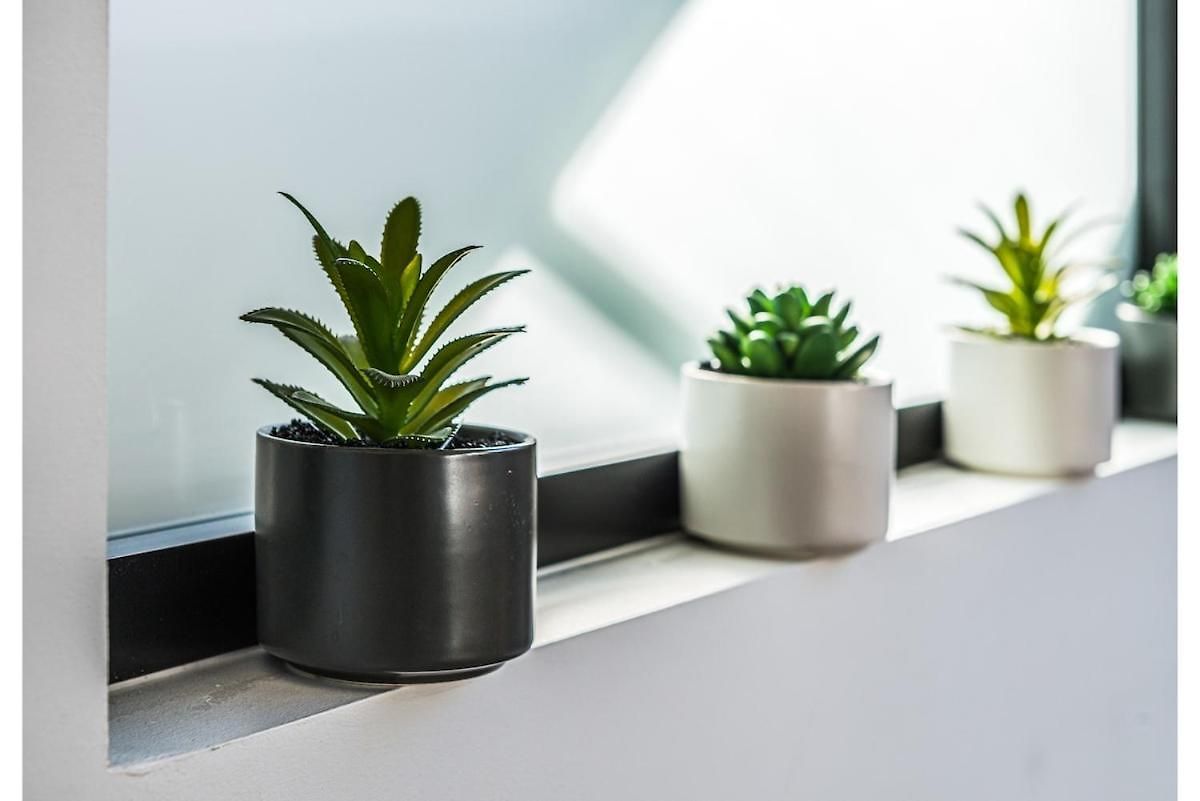 Apartment Secret Nest