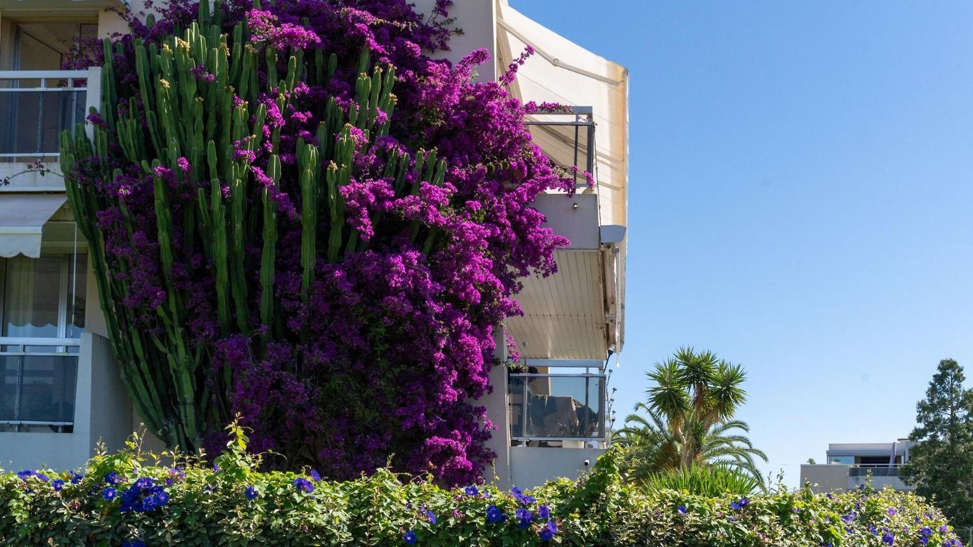 Apartment Piscine Balcon Et Calme *