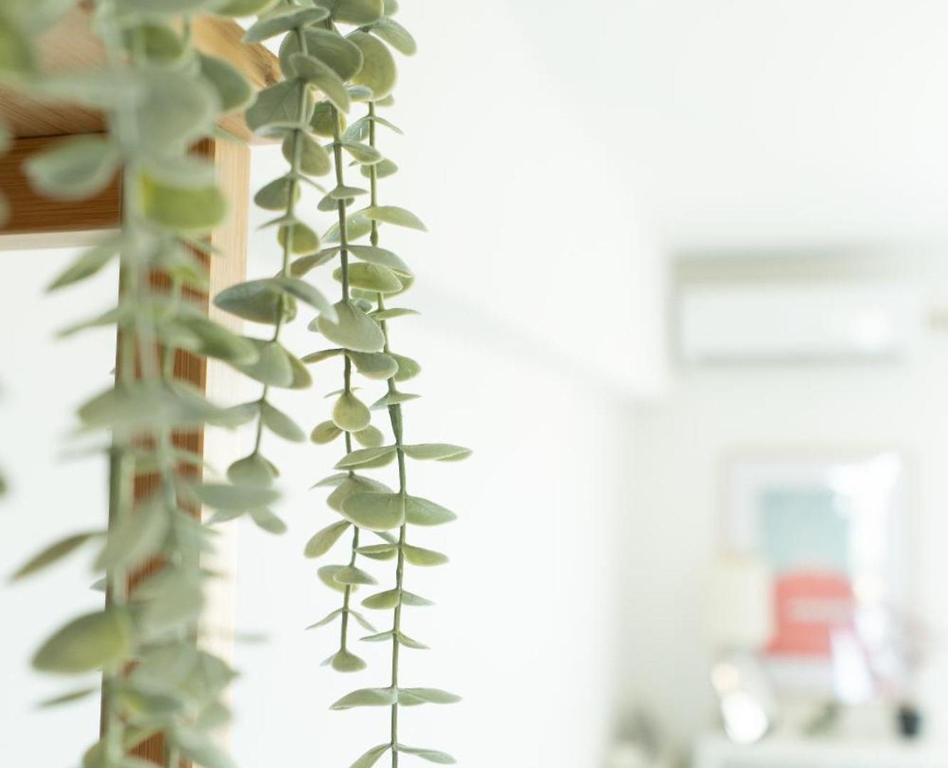 Smart Apartment *