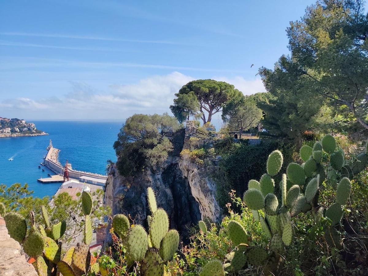 - Promenade Des - A 30 Metres - Climatisation - Wifi *