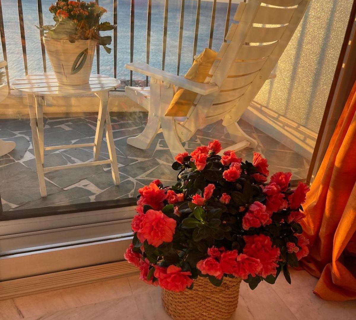 Front De 3 Pieces Apartment Nice
