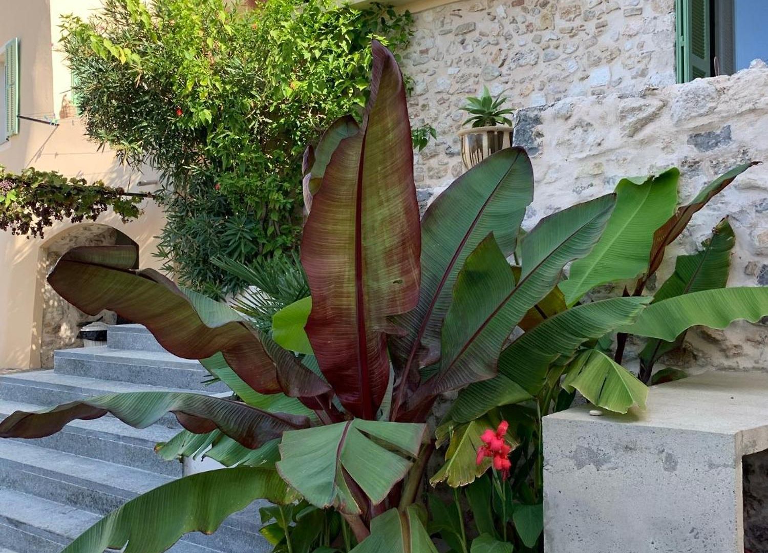 Unique Dans Le Vieux-nice! Avec Jardin Et Terrasse