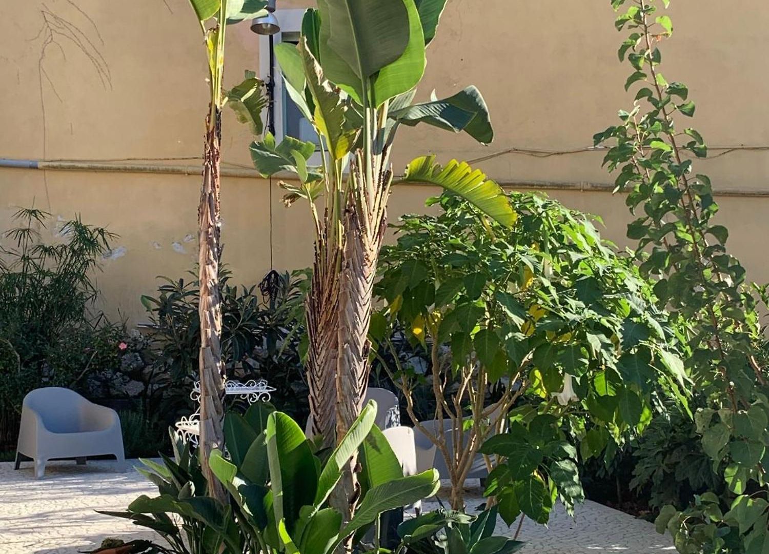 Apartment Lovely In Vieux-nice With Terrace, Garden And Ac - 10 Min To Beaches And Promenade Des Nice