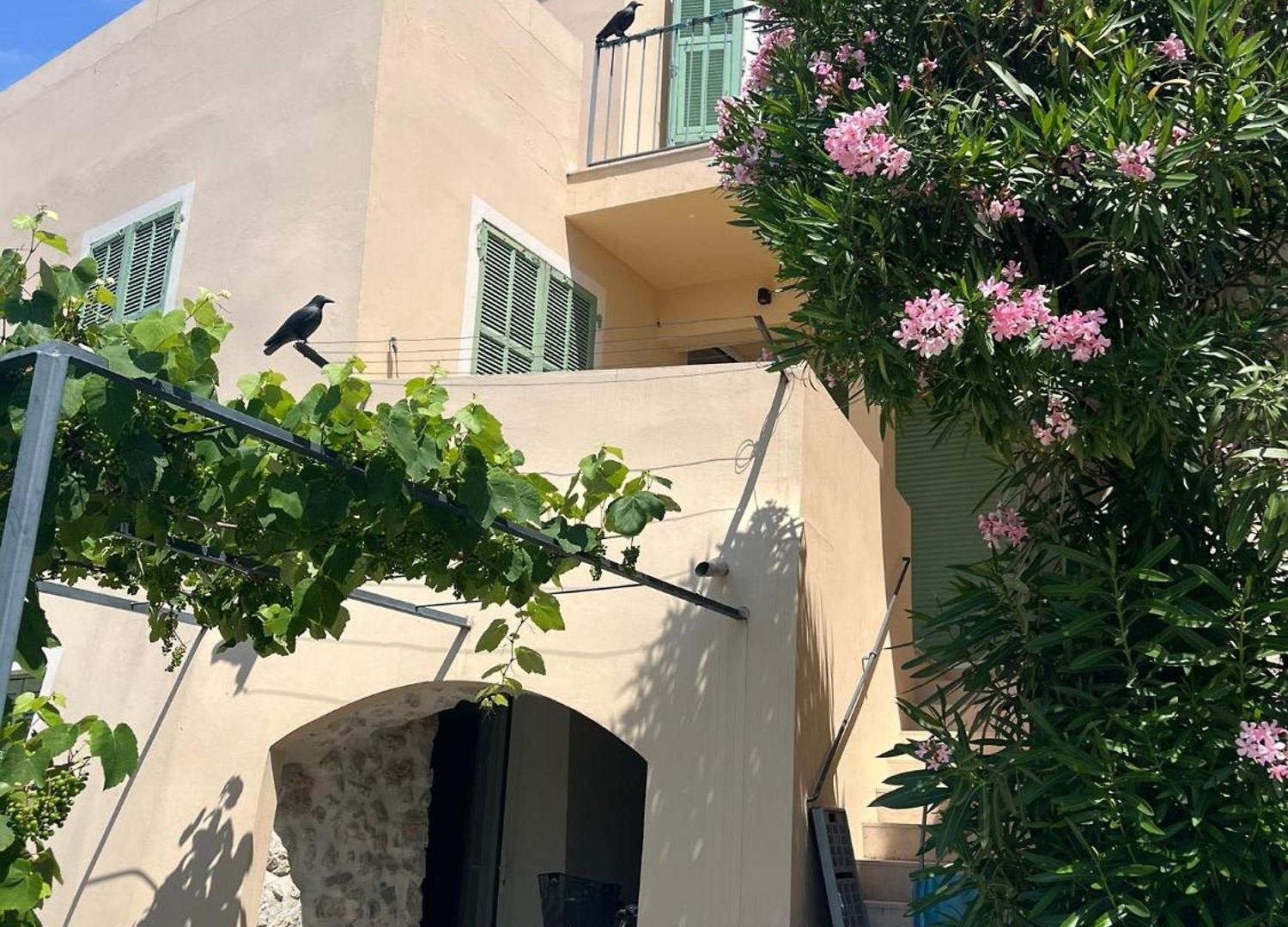 Apartment Unique Dans Le Vieux-nice! Avec Jardin Et Terrasse
