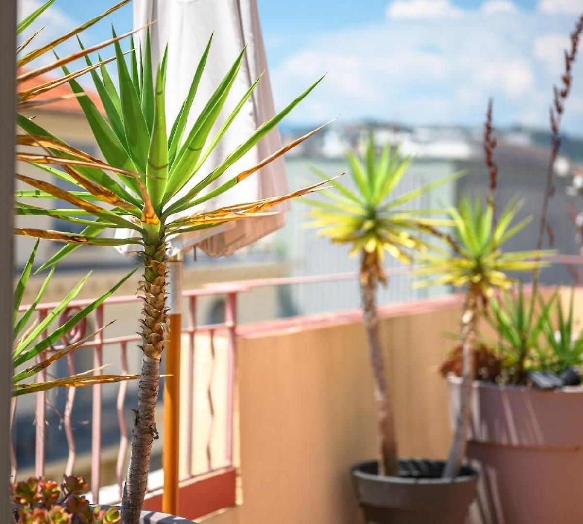 Apartment Bright & Cosy W Terrace Ac