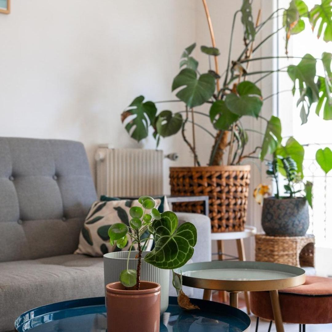 Apartment Bright & Cozy - Large Sunny Terrace Nice