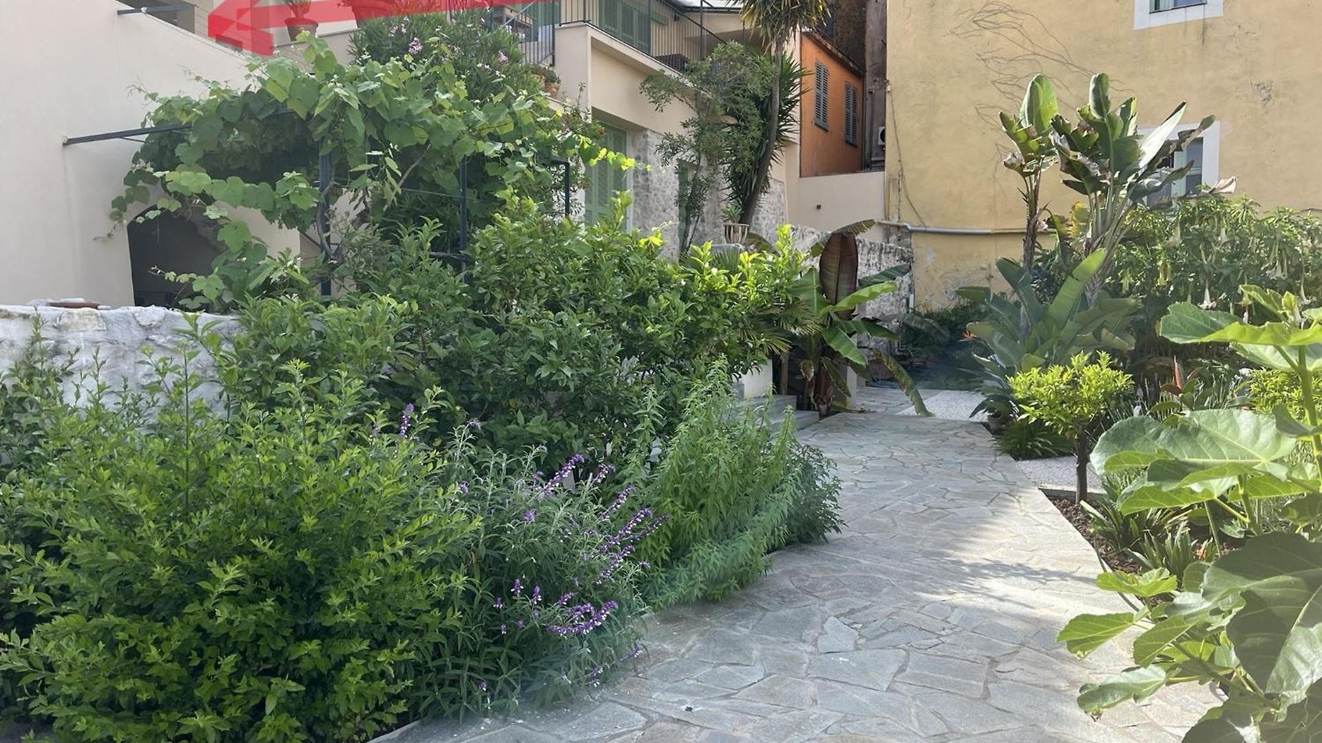 Unique Dans Le Vieux-nice! Avec Jardin Et Terrasse Apartment *