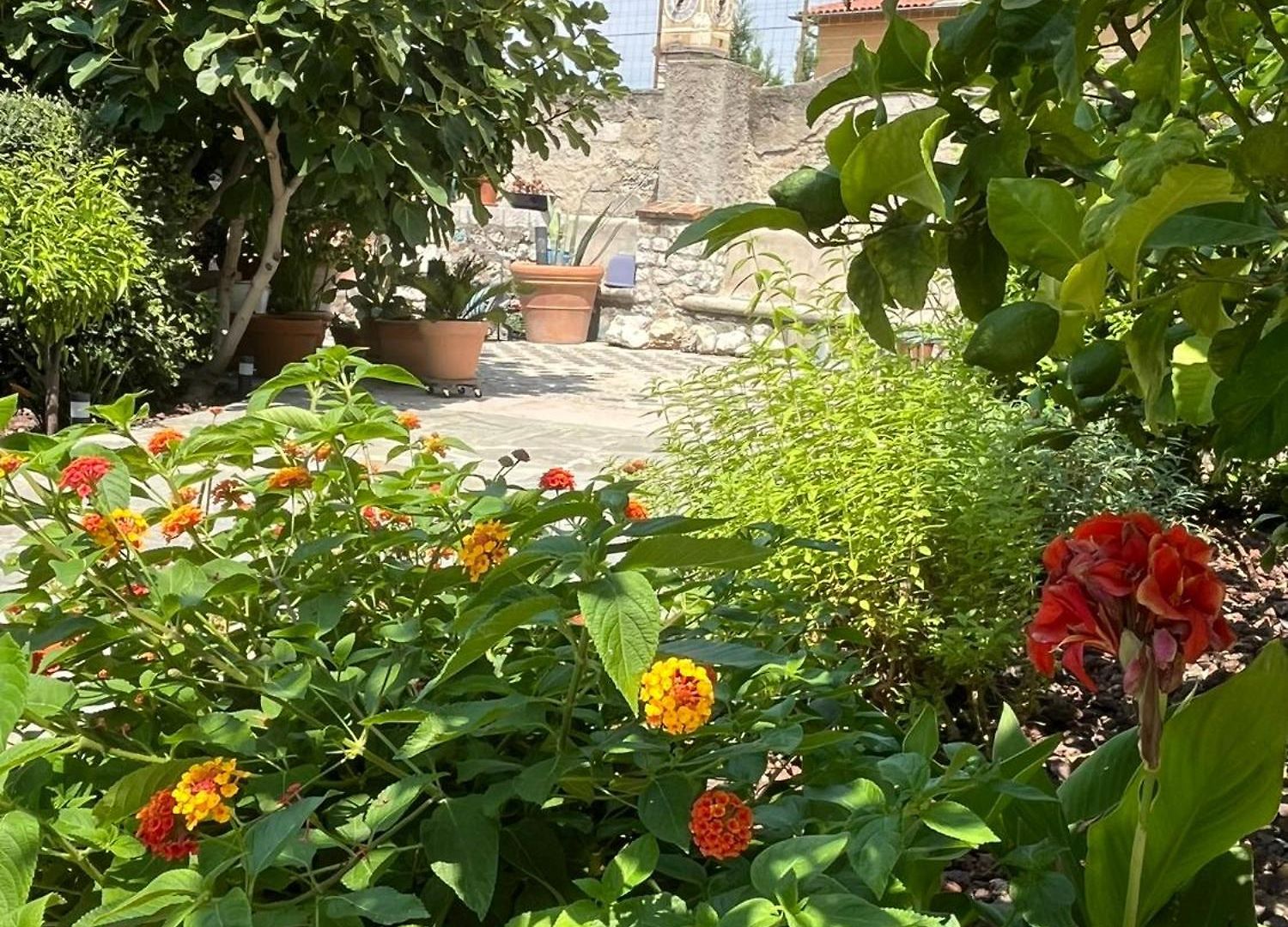 Apartment Unique Dans Le Vieux-nice! Avec Jardin Et Terrasse *