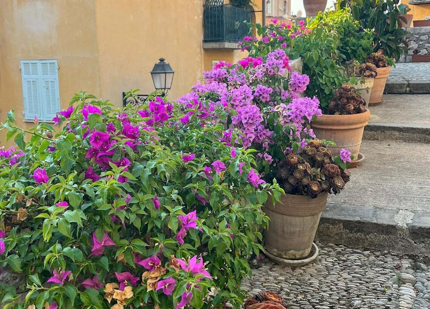 Unique Dans Le Vieux-nice! Avec Jardin Et Terrasse Apartment *