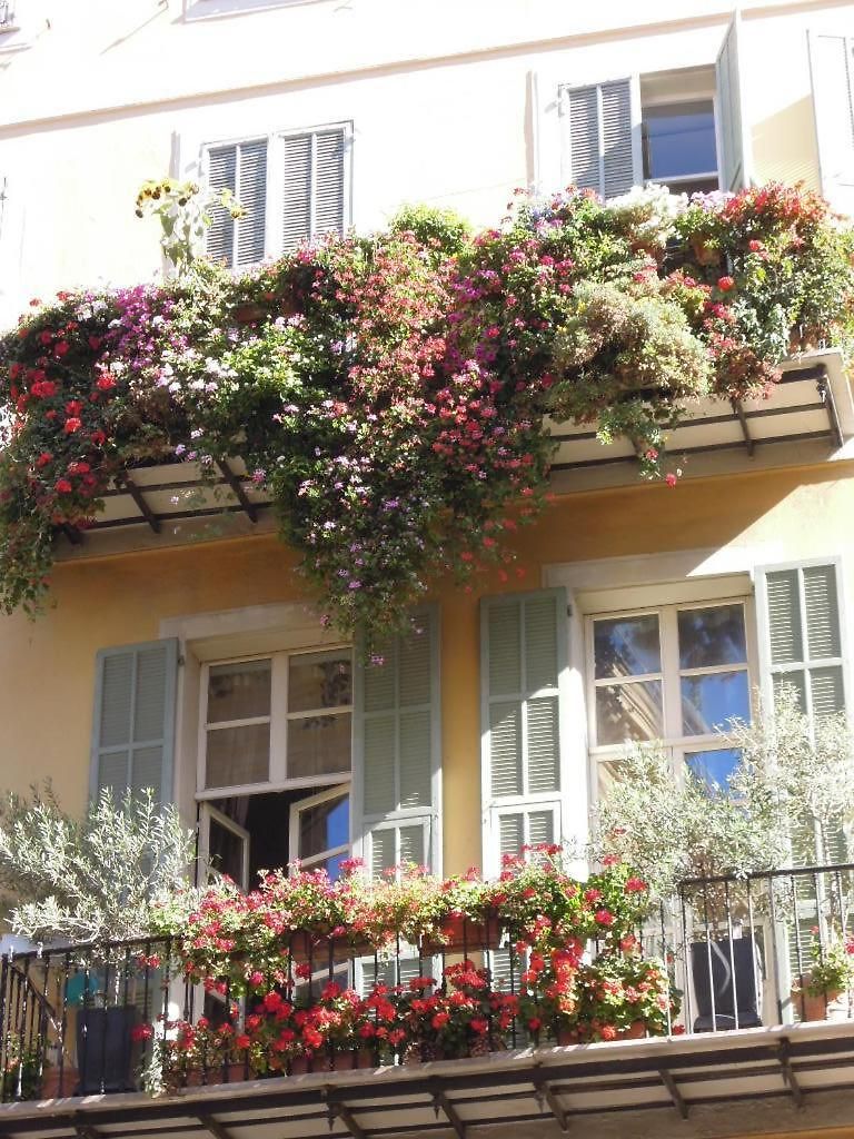 Apartment Unique Dans Le Vieux-nice! Avec Jardin Et Terrasse