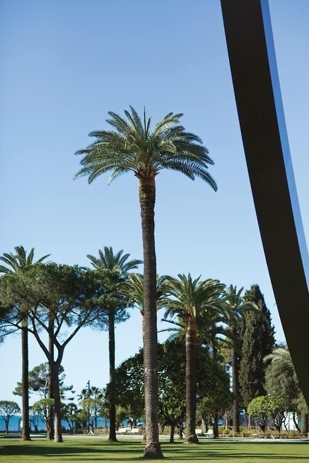 Unique 2 Biens En 1, Clim, Moderne, A 300m Nice