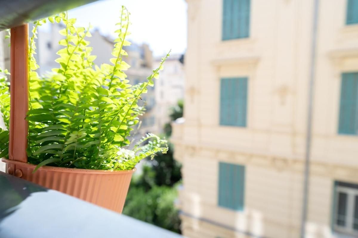 Downtown Duplex, Clim, 15 Min Walk To The Sea *