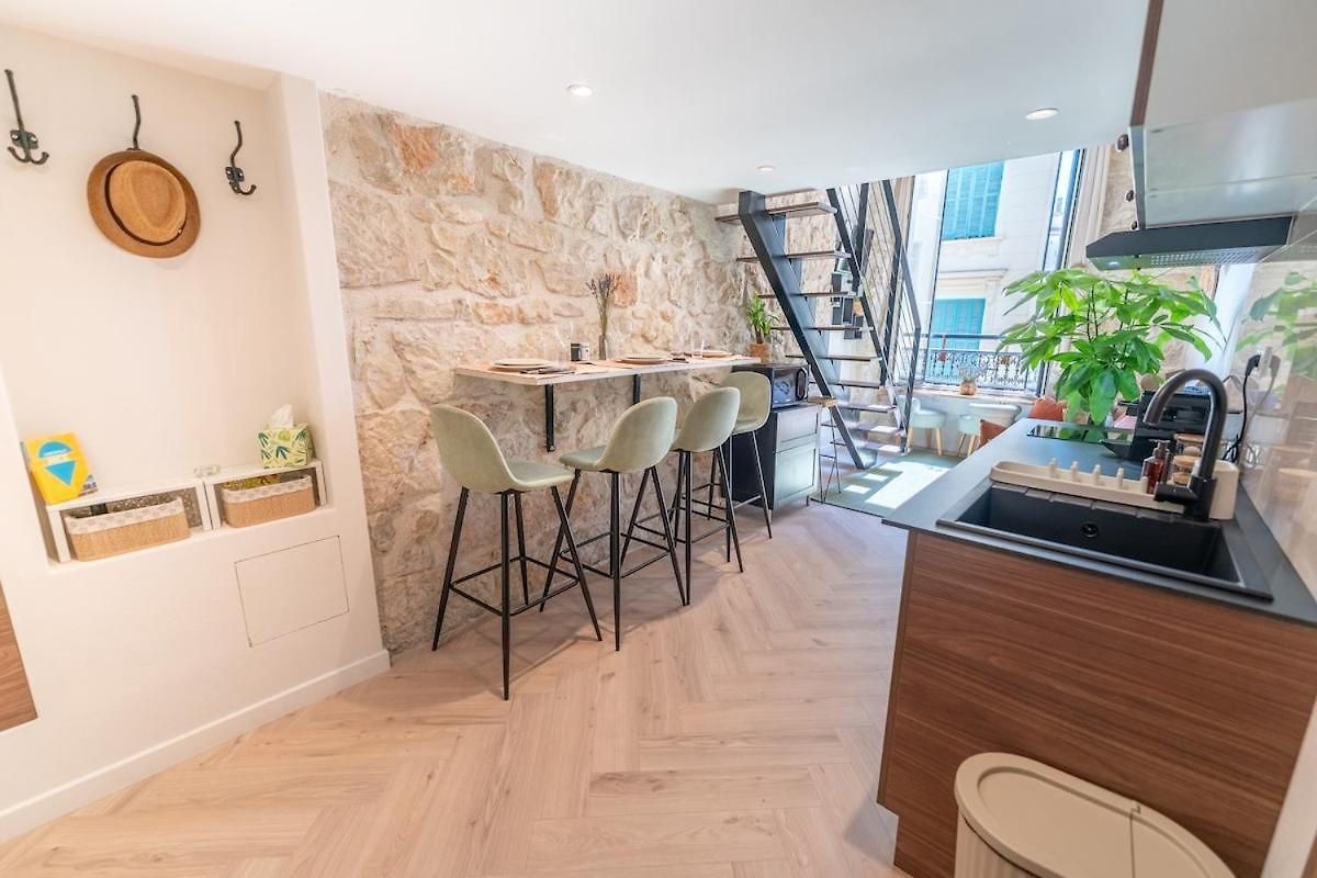 Downtown Duplex, Clim, 15 Min Walk To The Sea Apartment Nice
