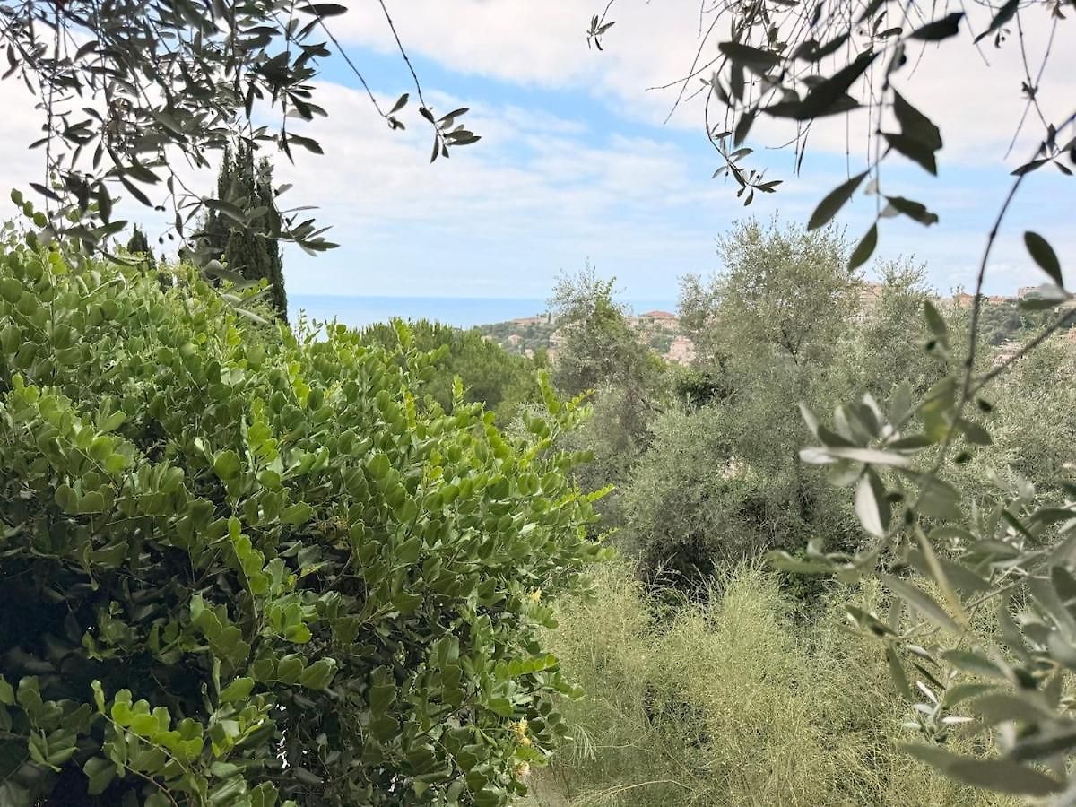 Treehouse In Les Oliviers, Sea View, Air Conditioning, Parking * Nice