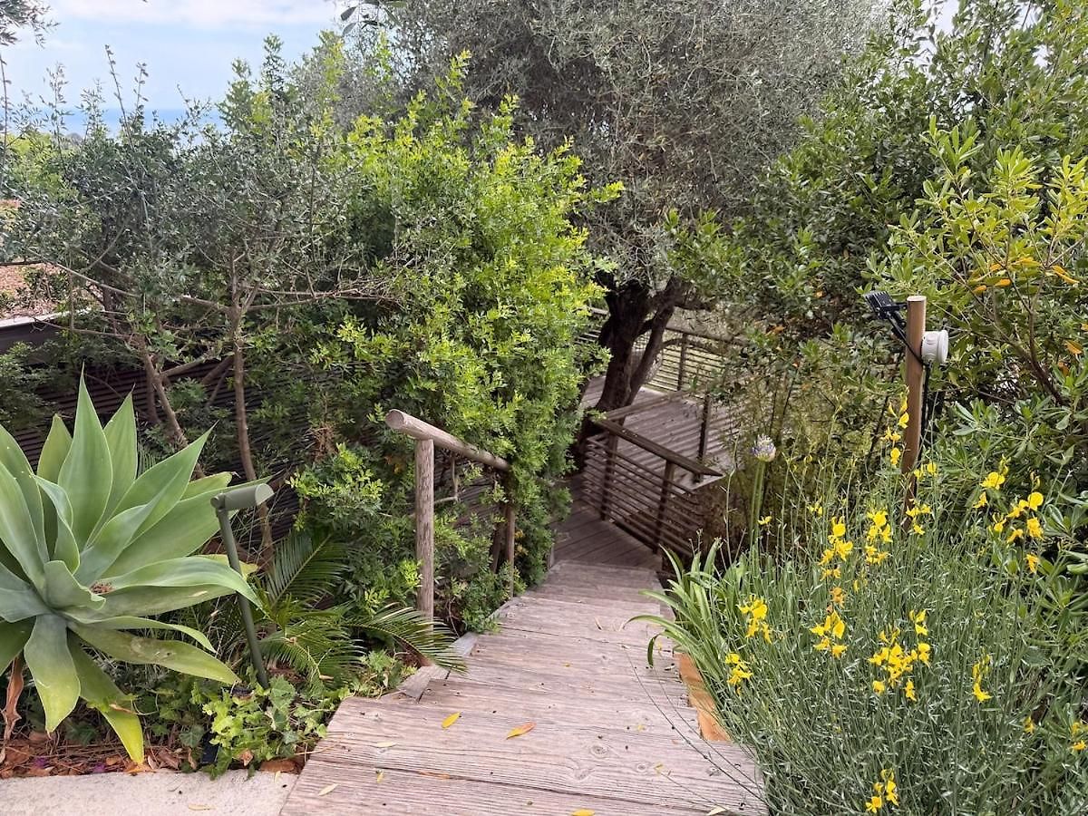 Treehouse In Les Oliviers, Sea View, Air Conditioning, Parking Apartment *