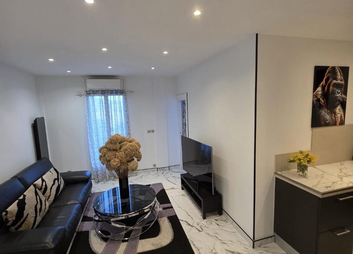 Bellevue Sur Terrasse Apartment *
