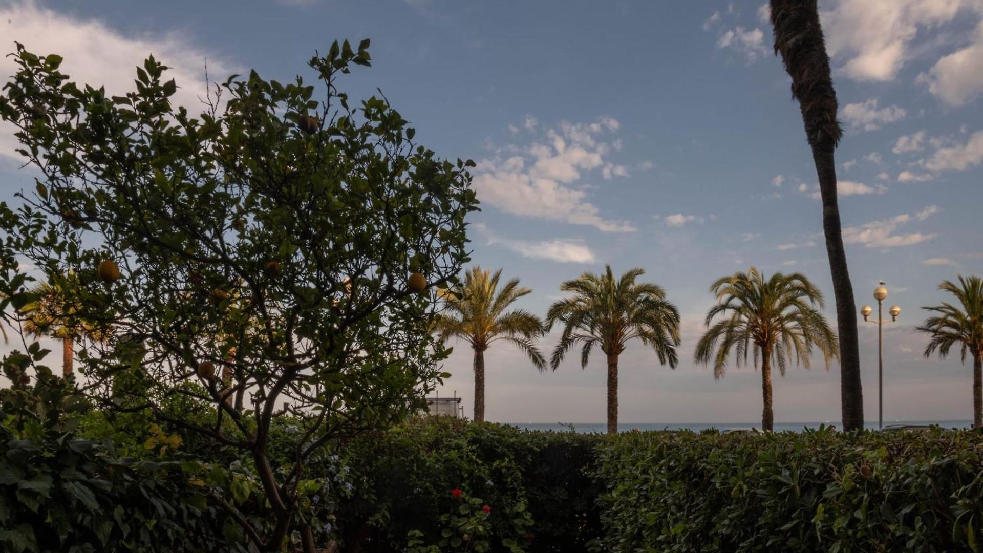 Jardin Prive & - Promenade Des * Nice