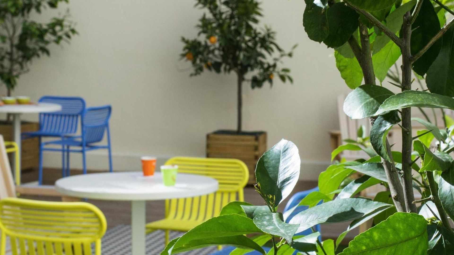 Ibis Styles Centre Gare Nice