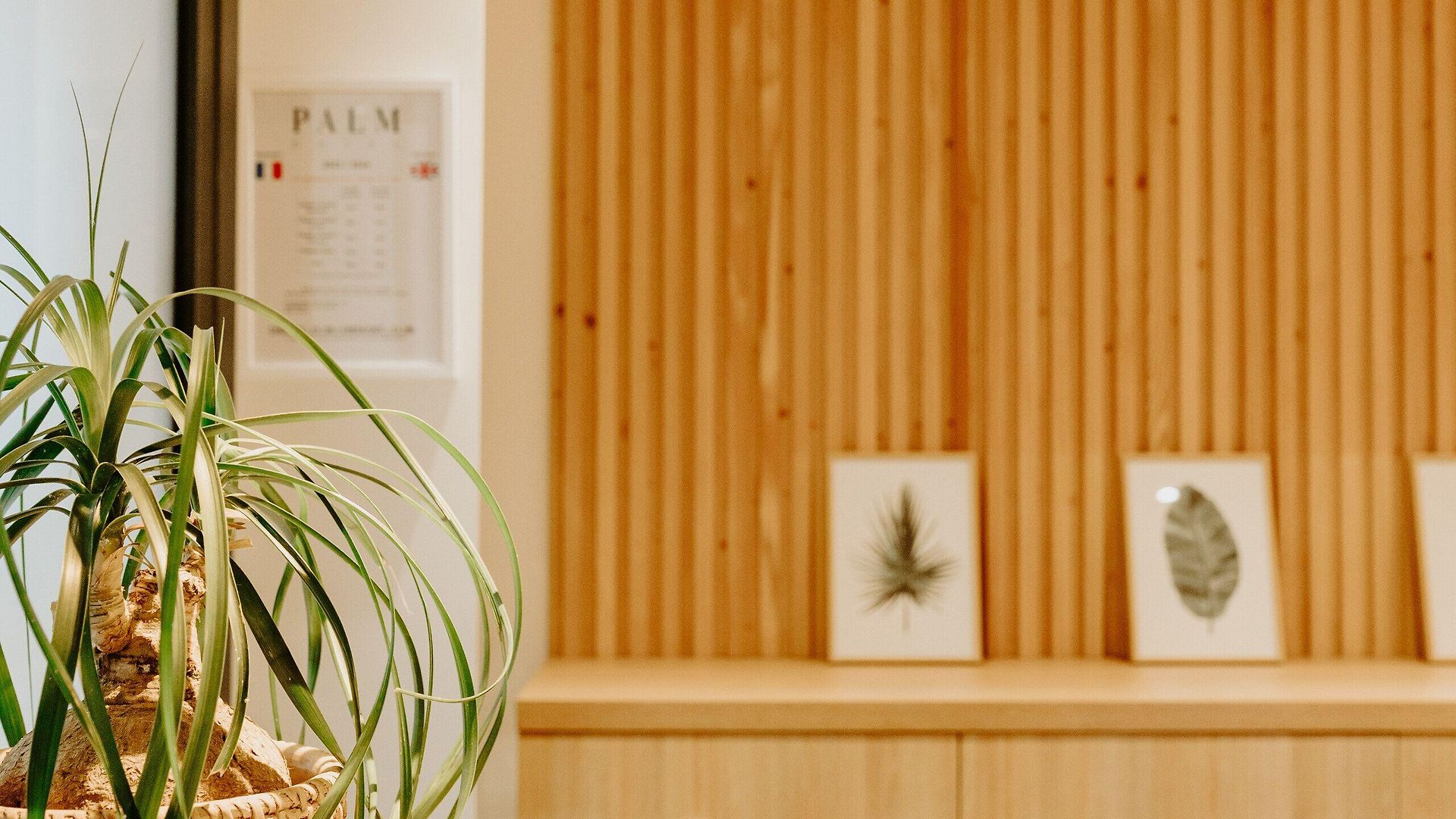 Hotel Palm Boutique