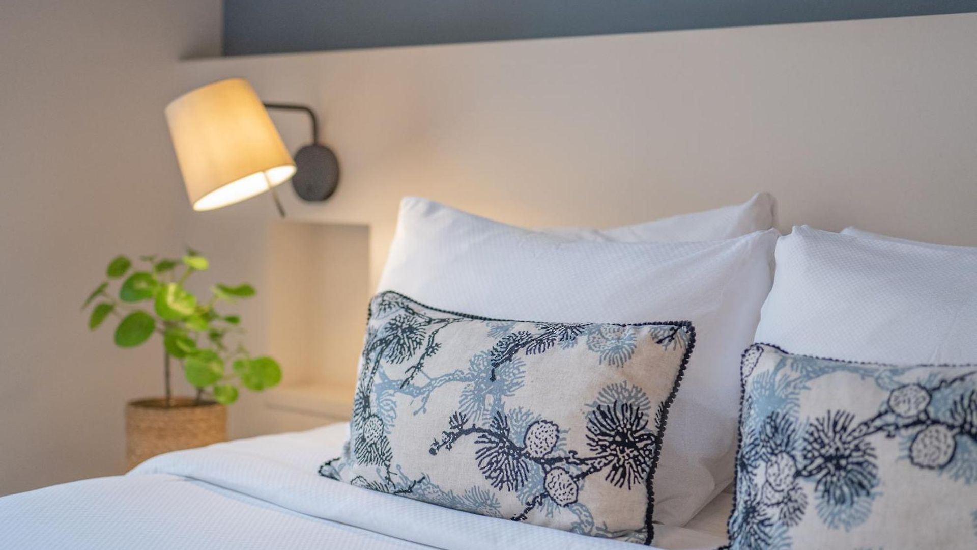 Hotel Crisol Mozart