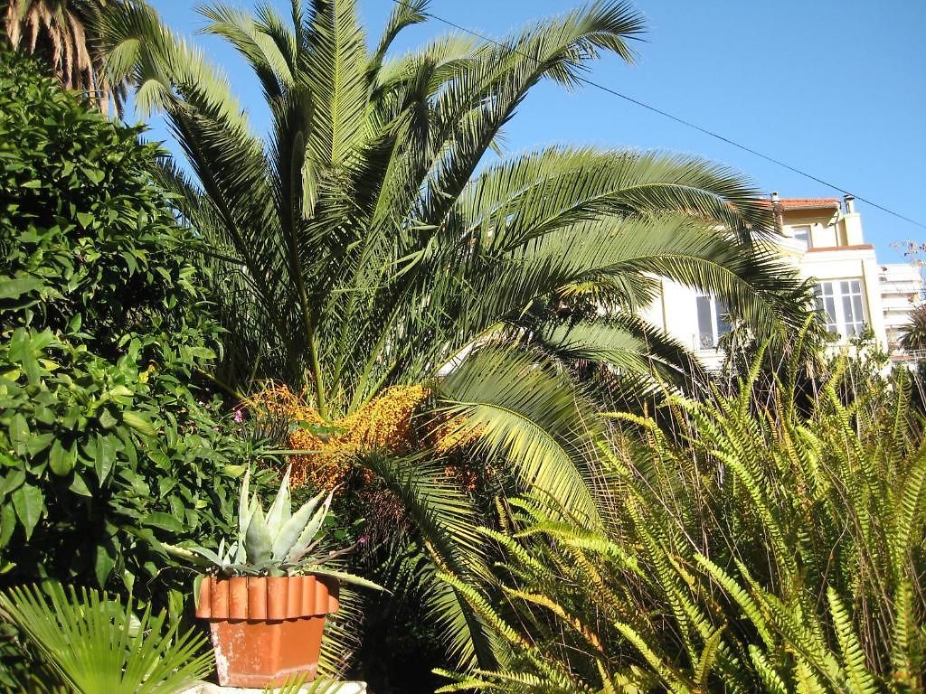 Hotel La Malouine 2*