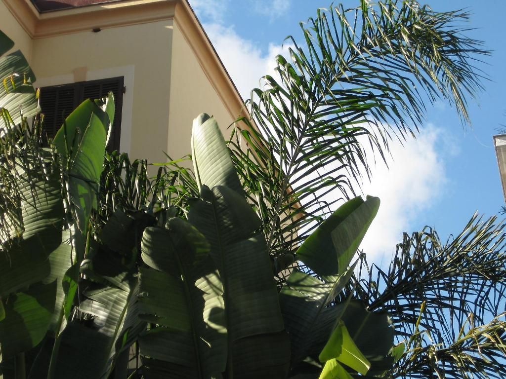 La Malouine Hotel Nice