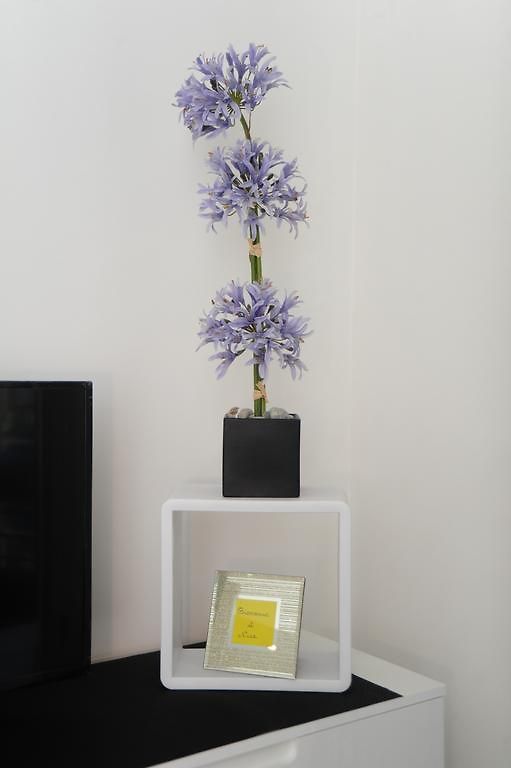 Imperazur Five Stars House Apartment Nice