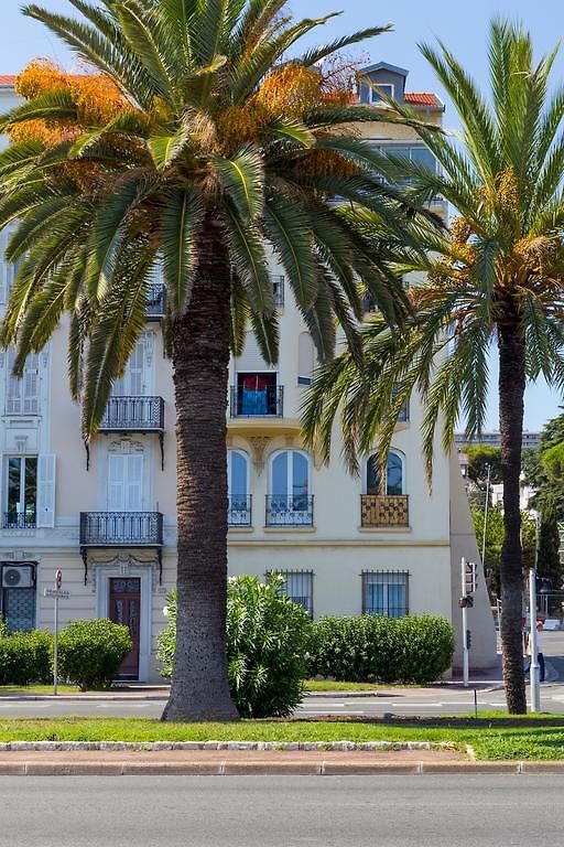 Beautiful By The Sea Front Nice