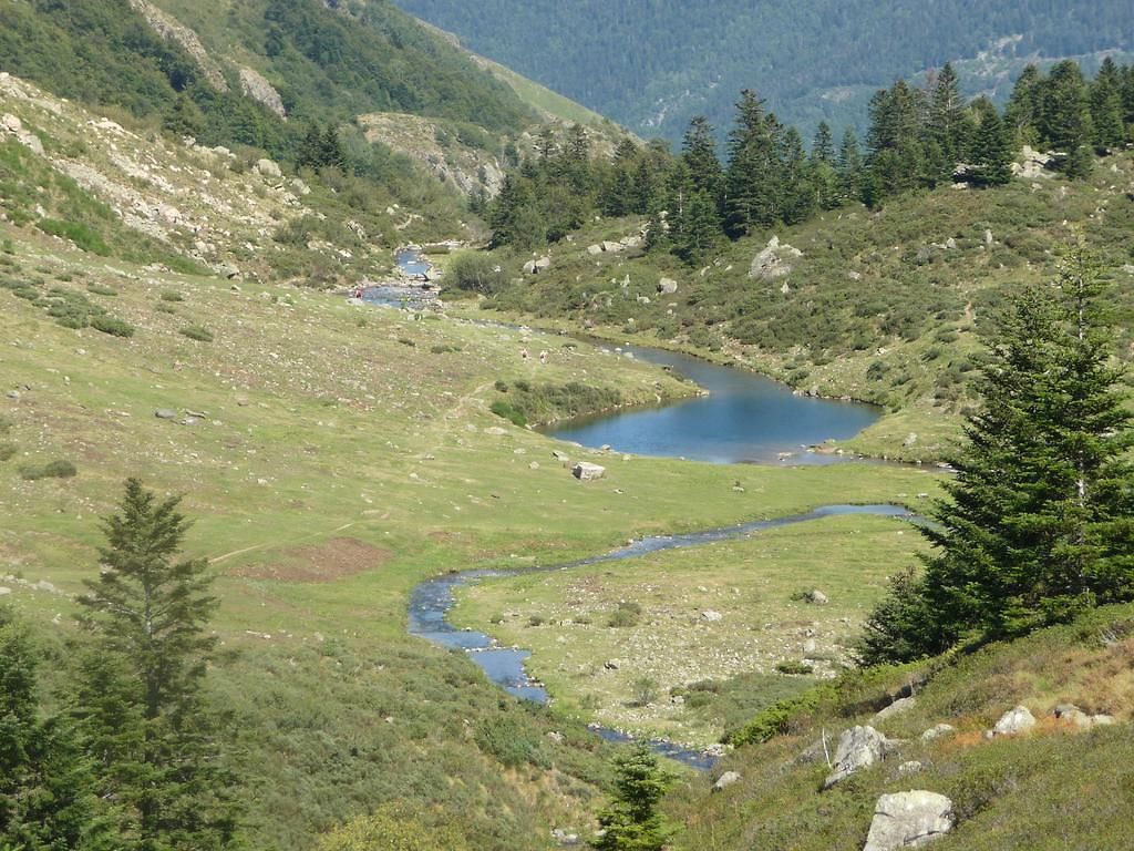 Baie Des Anges Séjour chez l'habitant Nice