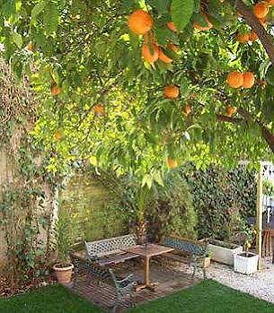 Garden Hotel