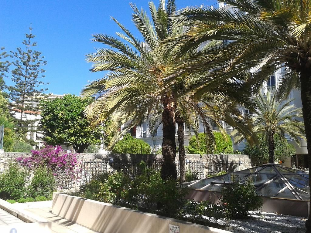 Appartement Luxurious In 450 M Of The Sea