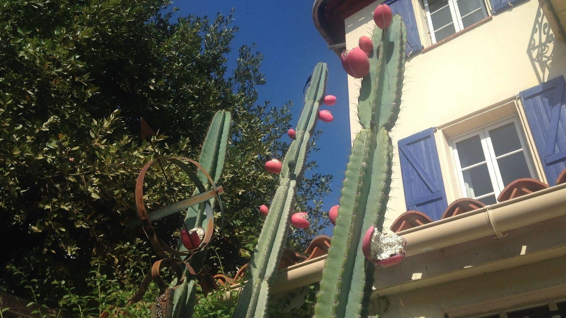 La Malouine 2*