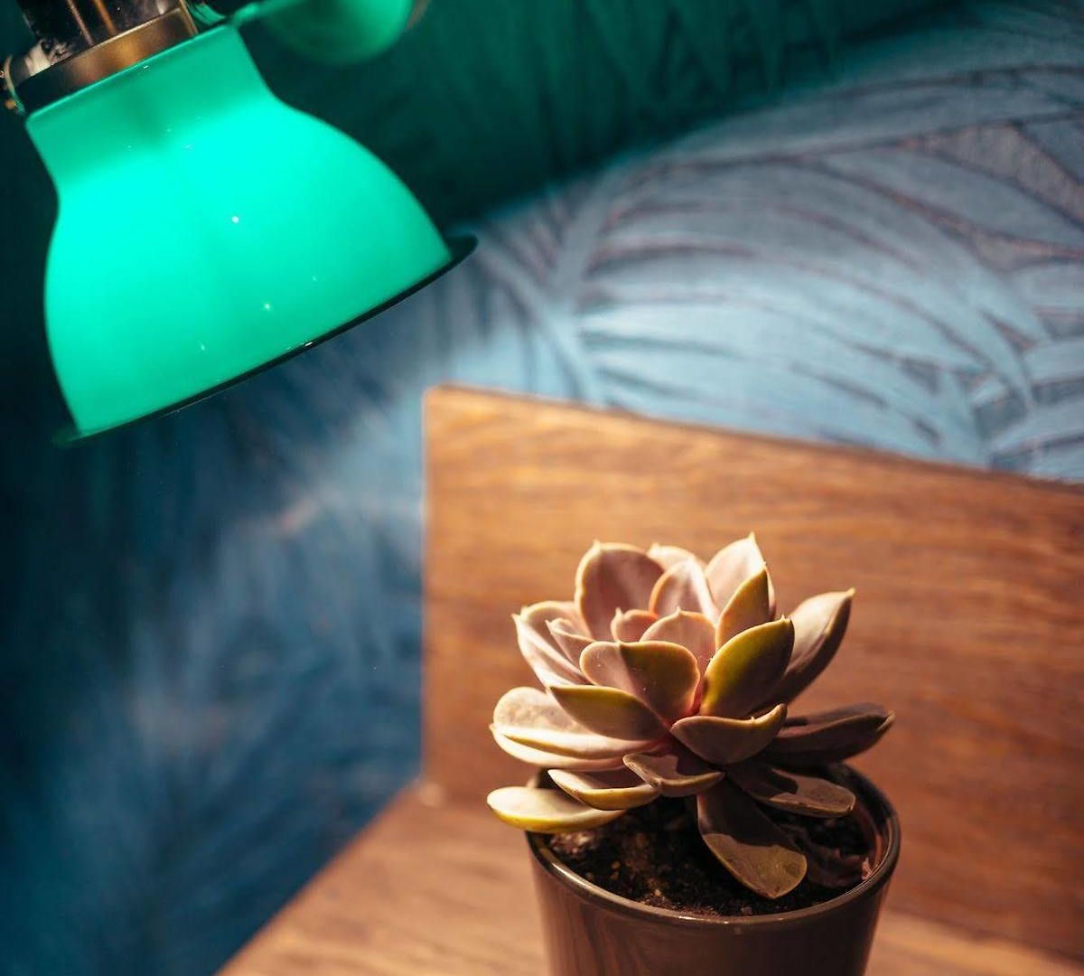 Bougainville By Happyculture Hotel