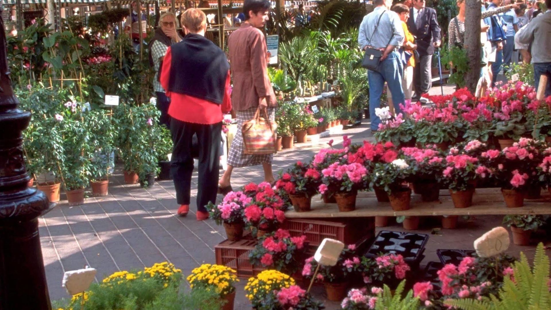 Hotel Mercure Marché Aux Fleurs 4*