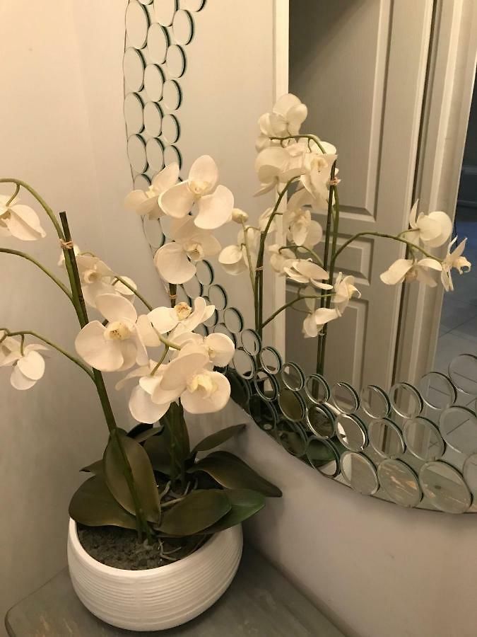 Je Suis à Nice