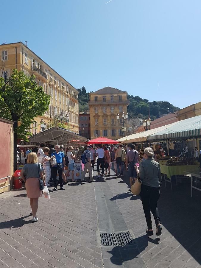 Les Palmiers à 700m De La Nice