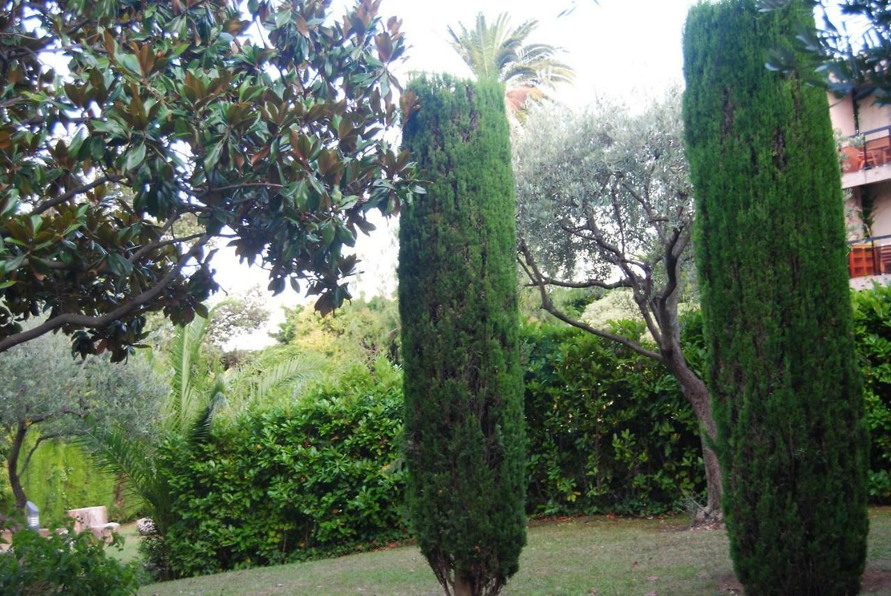 Les Palmiers à 700m De La Appartement
