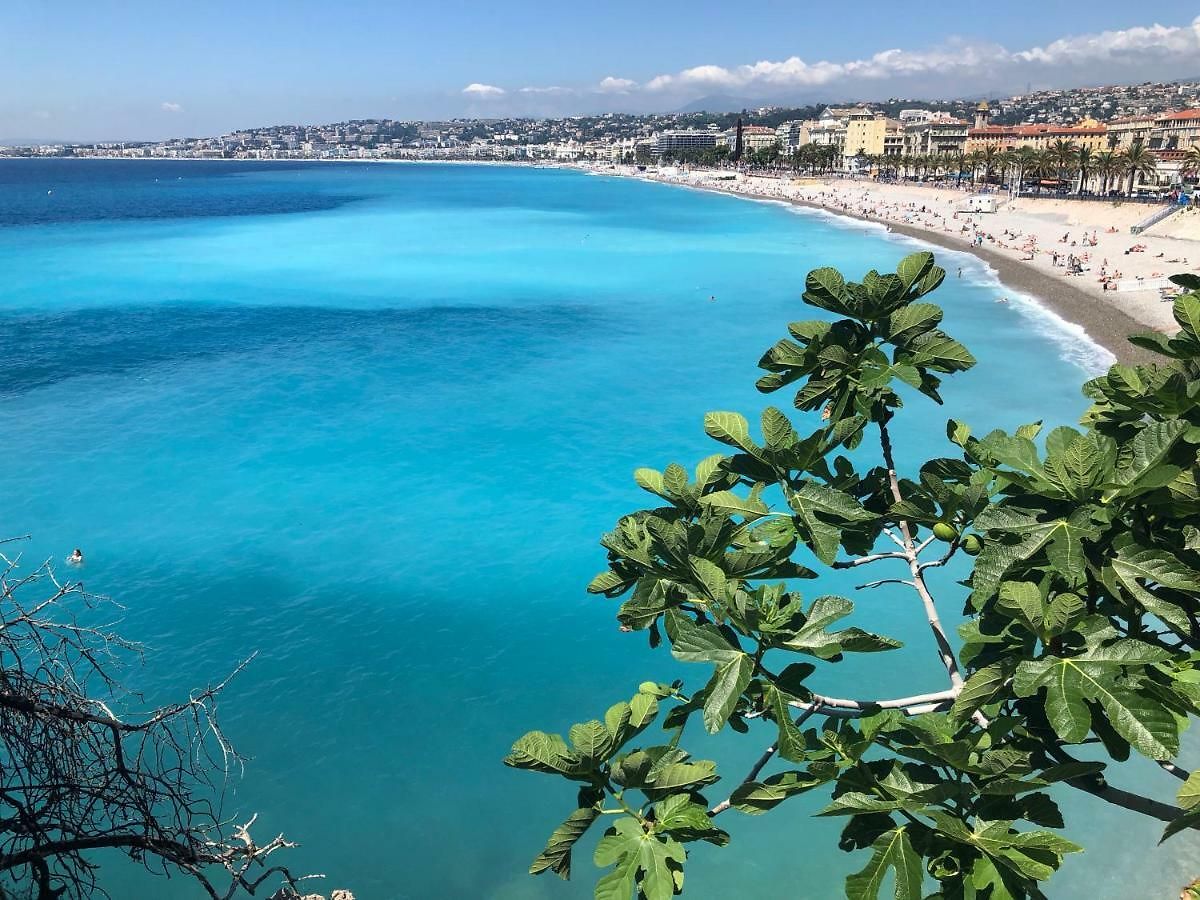 Appartement Appt A 150m De La Nice