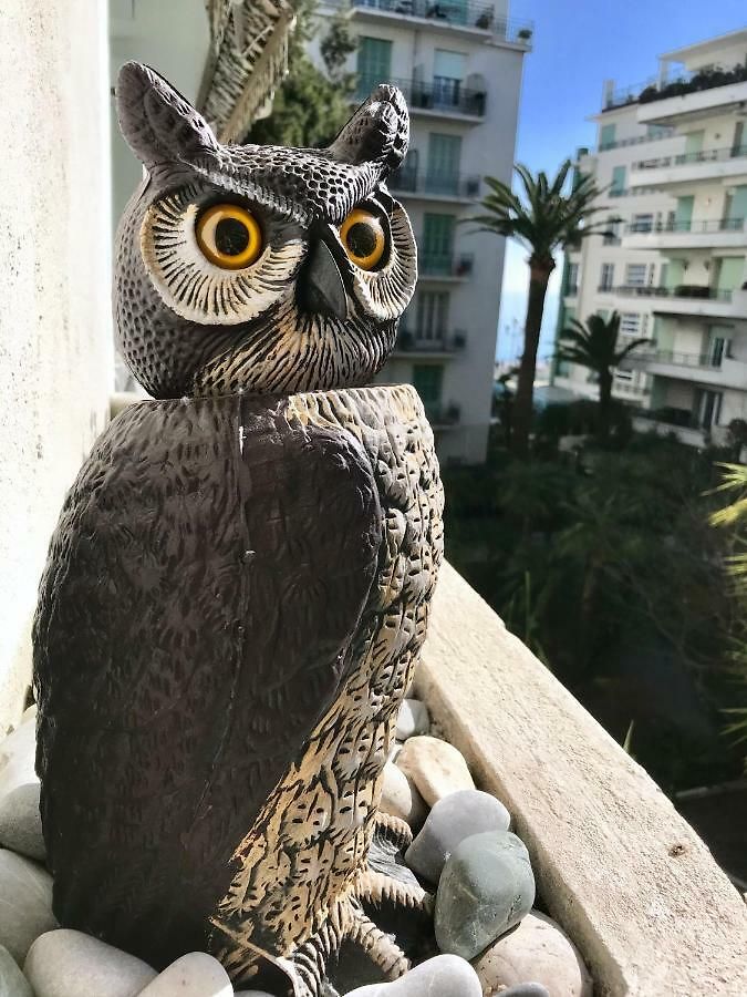 - Promenade Des