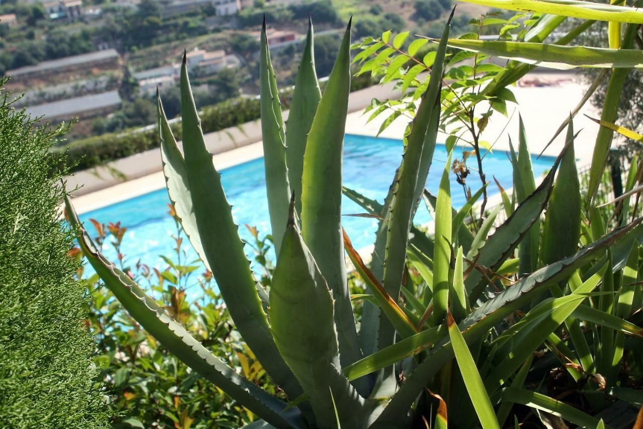 Le Fabrina Riviera Apartment