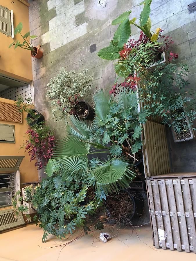 Appartement Heart Of Harboor Cosy And