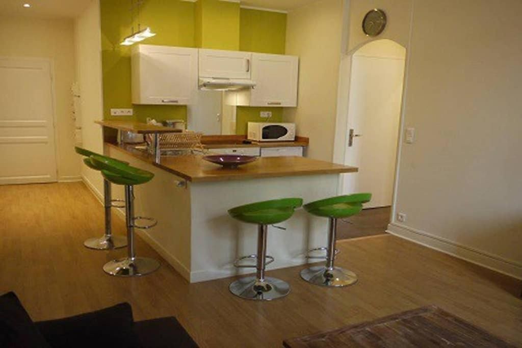 Barla 3 - A Spacious One Bedroom Near Place Garibaldi Appartement *