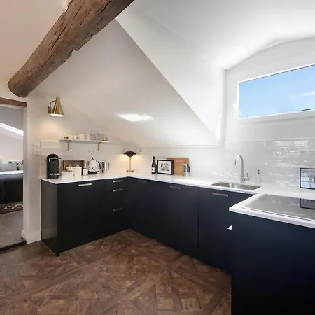 Cocoon Loft - Magnifique Loft Sous Toit, Refait A Neuf, Vues Splendides, Clim, Wifi Appartement Nice