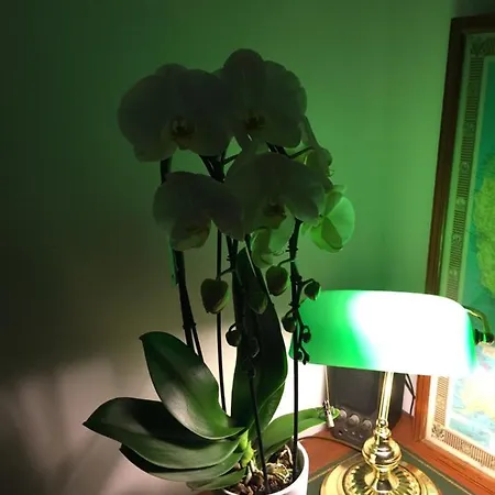 Bed & Breakfast Cocon Cosy Romantique A 5 Minutes A Pied 3*