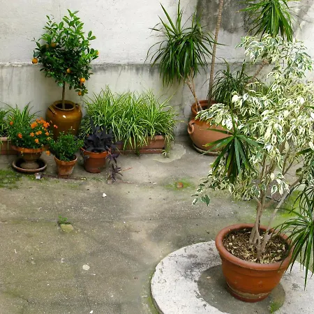Place Wilson Appartement *