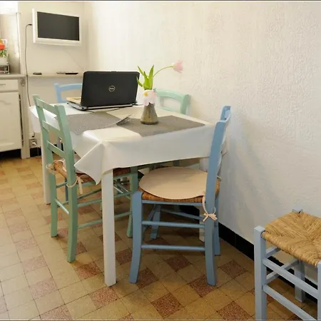 Green Cat Place * Nice