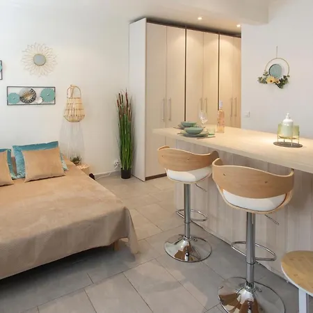 Climatise A 50m Des Plages Apartment Nice
