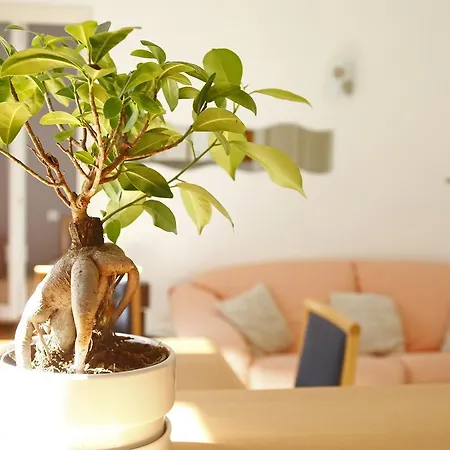 Matisse Apartment *